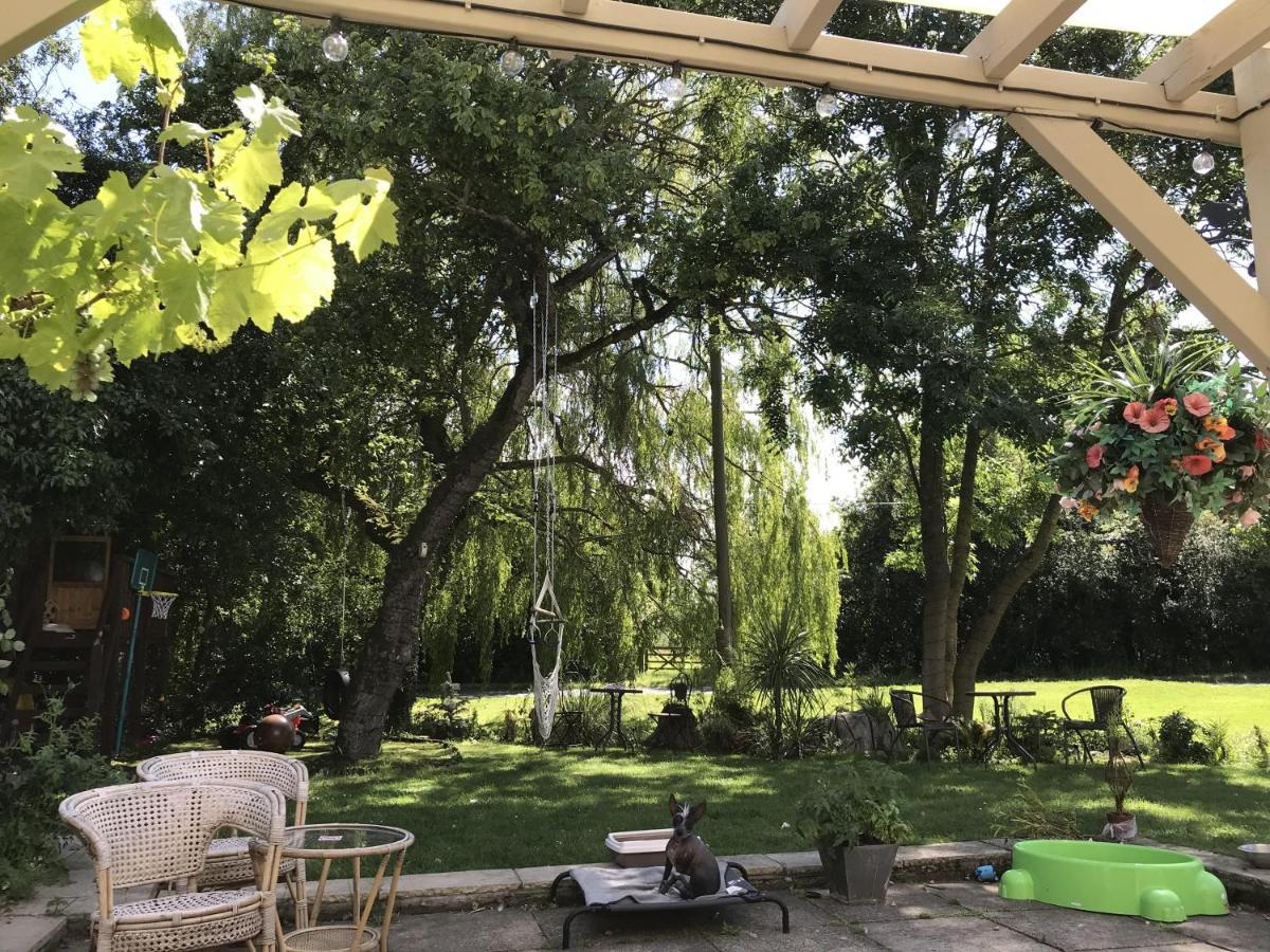 Old Thatch Bambers Green Takeley المظهر الخارجي الصورة