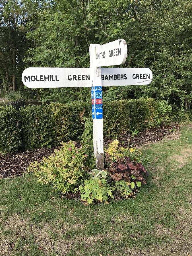 Old Thatch Bambers Green Takeley المظهر الخارجي الصورة