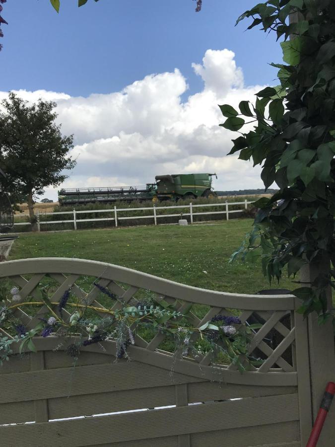 Old Thatch Bambers Green Takeley المظهر الخارجي الصورة